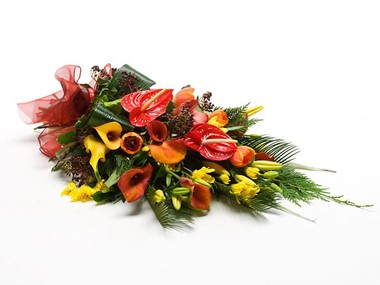 Cut Flowers